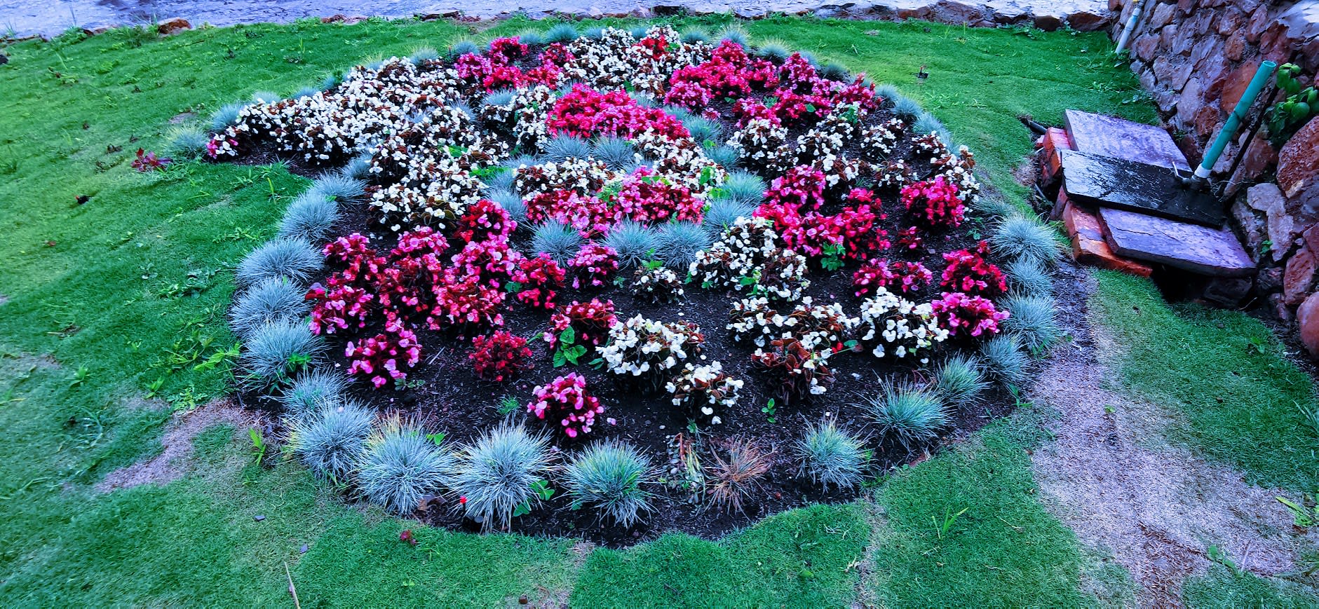 Proyecto de jardinería 4