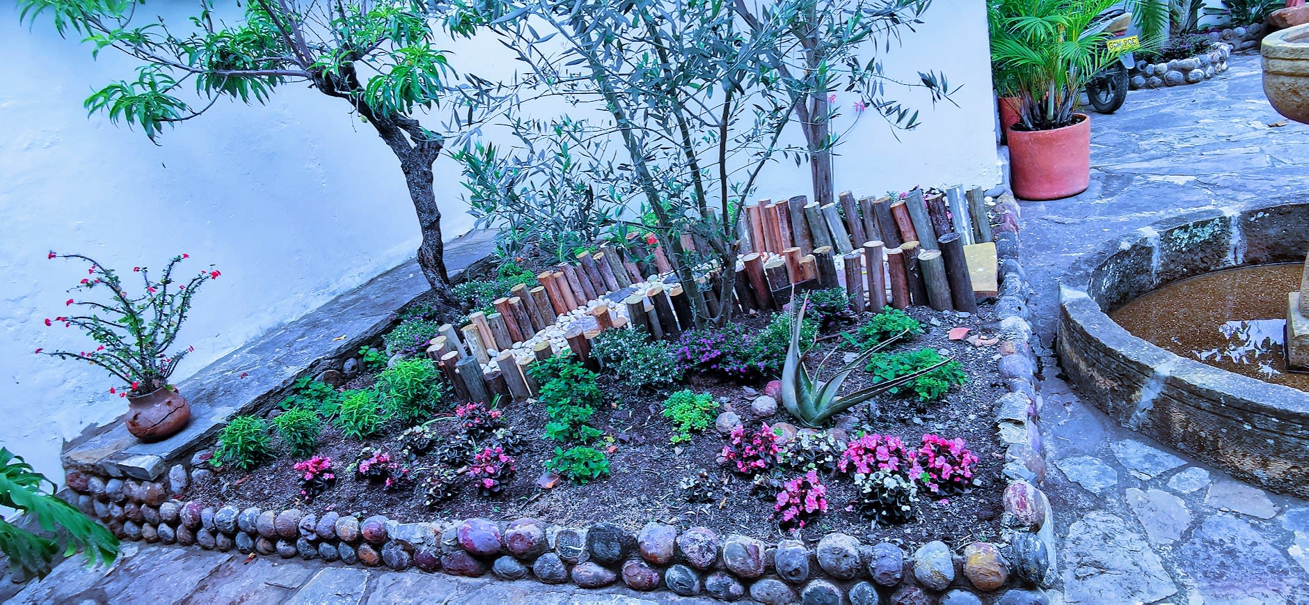 Proyecto de jardinería 7