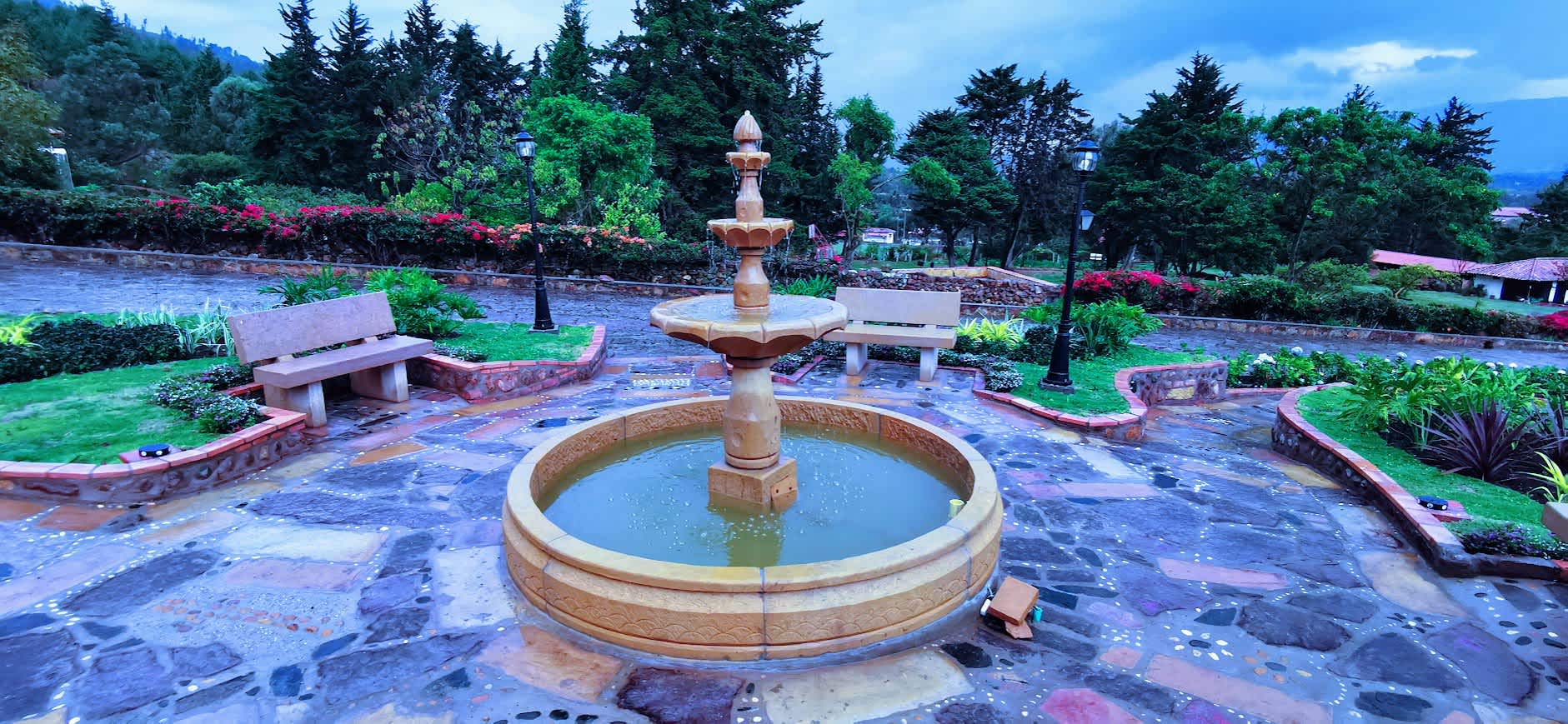 Proyecto de jardinería 5