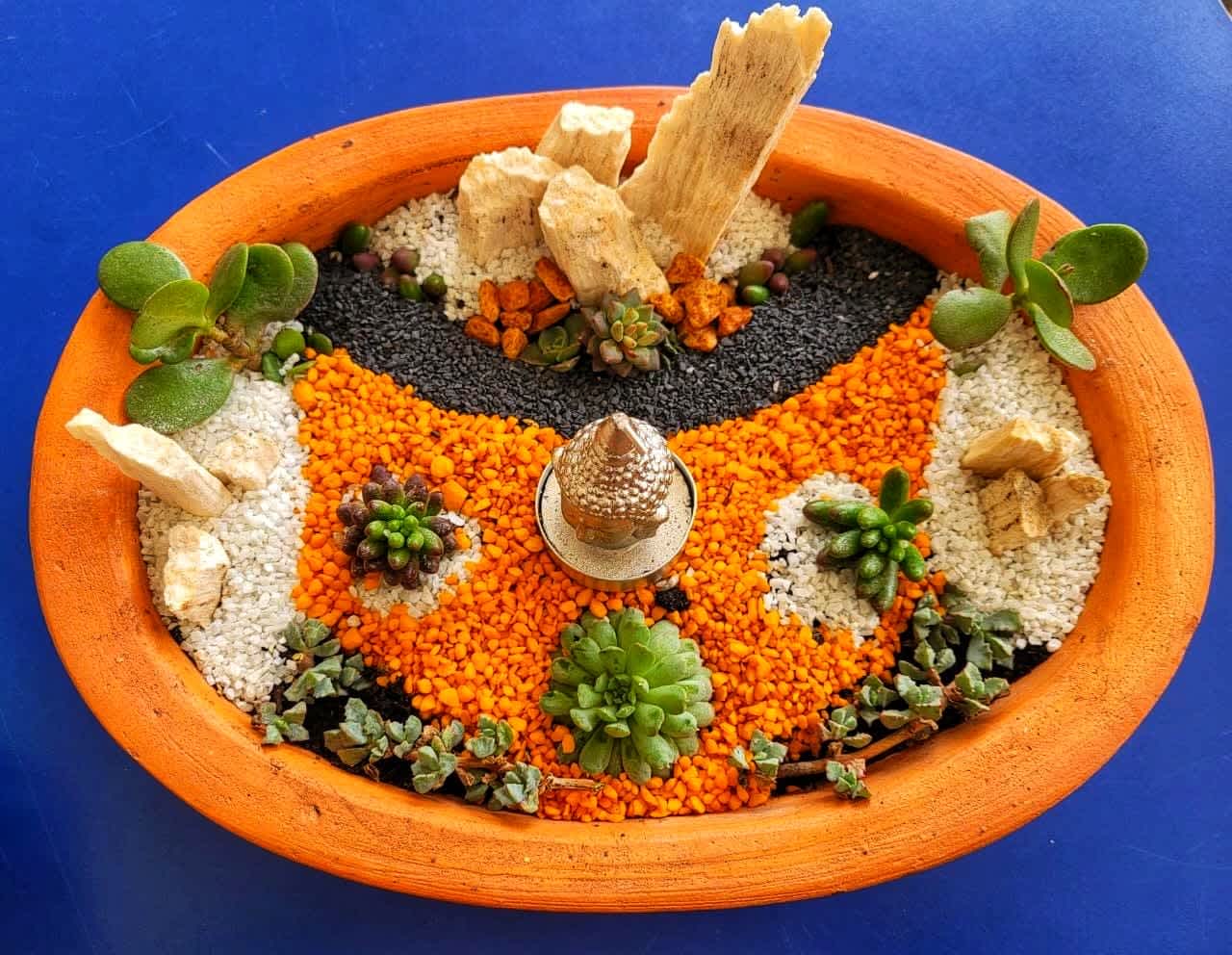 Proyecto de jardinería 6