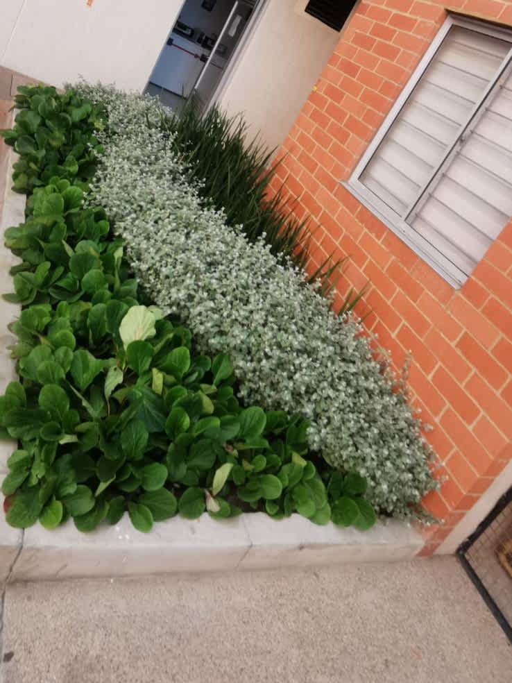 Proyecto de jardinería 8