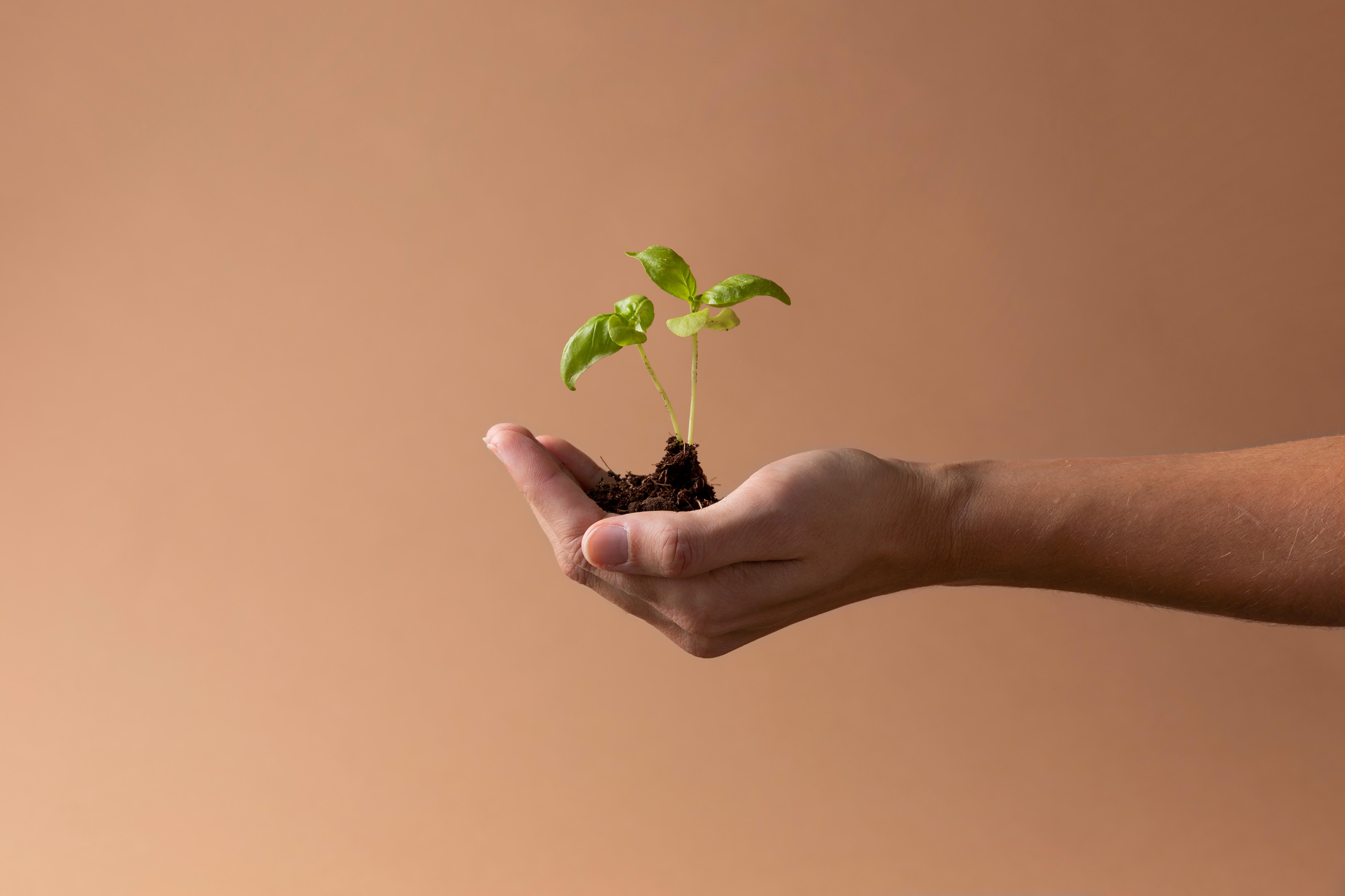 Equipo Cibeles trabajando