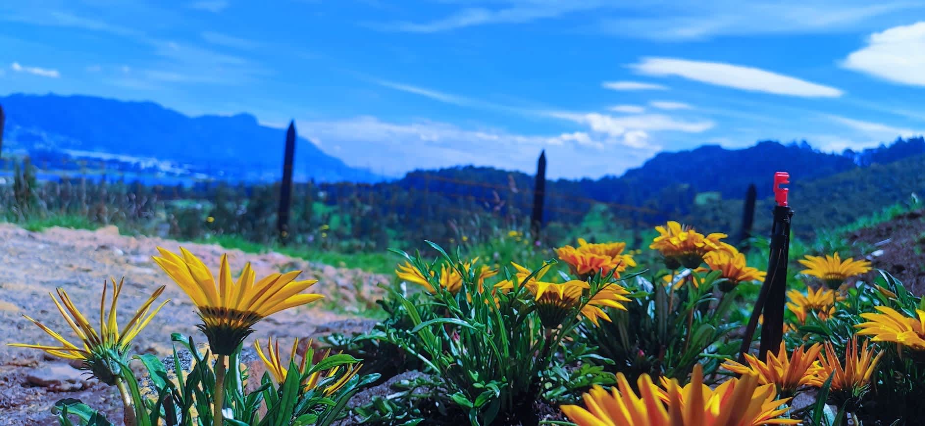 Renovación de parque infantil en conjunto residencial